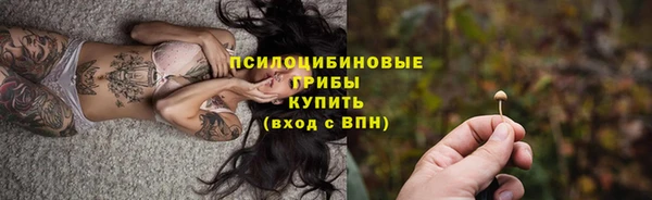 шишки Алзамай