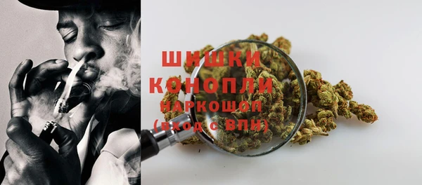 шишки Алзамай