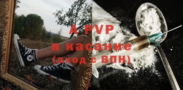 сатива Абаза